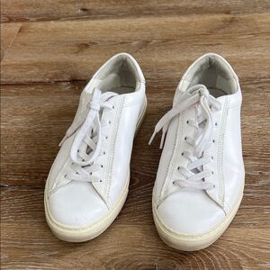 Everlane White Leather Sneakers